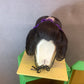 Katsura