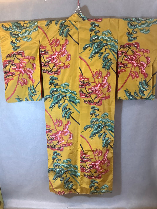 Woman’s Kimono