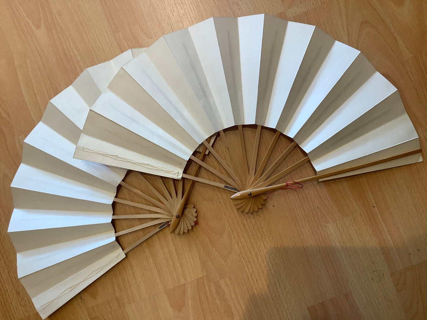 Fan for Dance